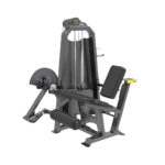 Extensión de Piernas