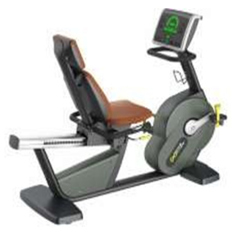 Recumbent Bike